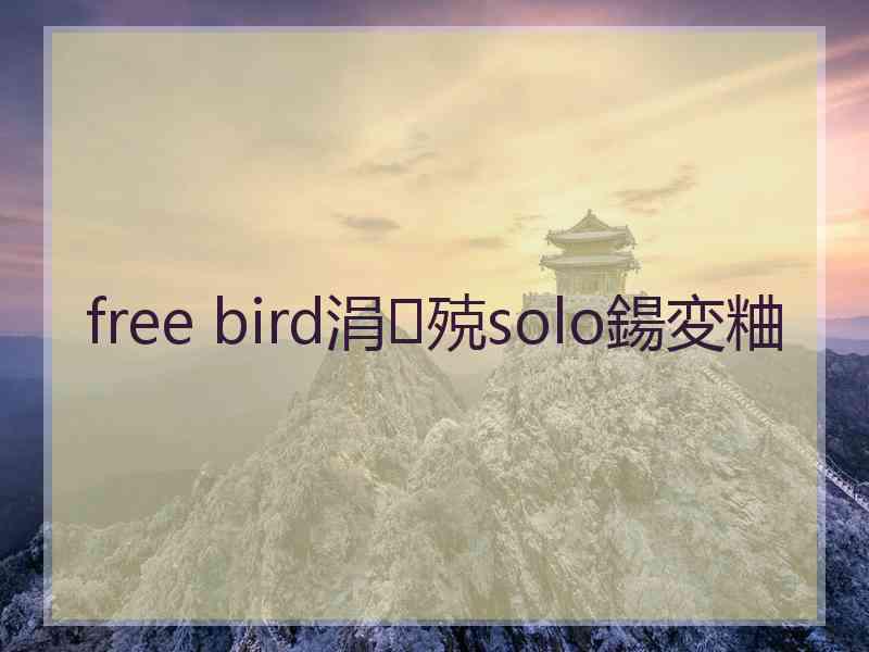 free bird涓殑solo鍚変粬