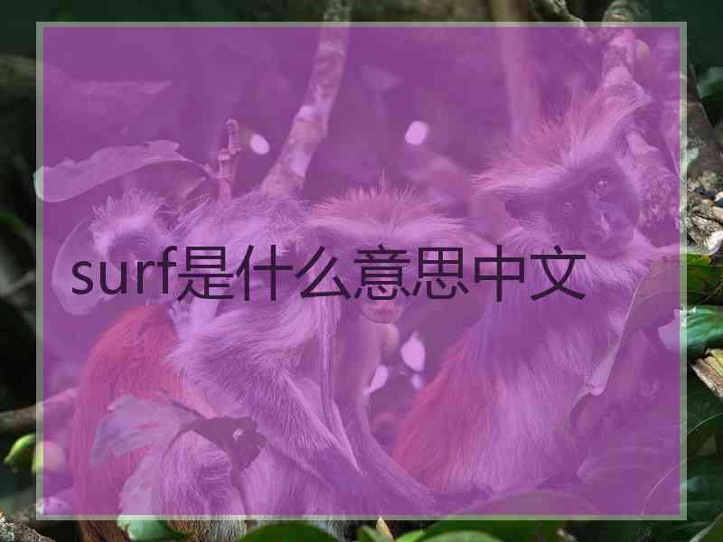 surf是什么意思中文