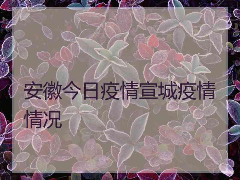 安徽今日疫情宣城疫情情况