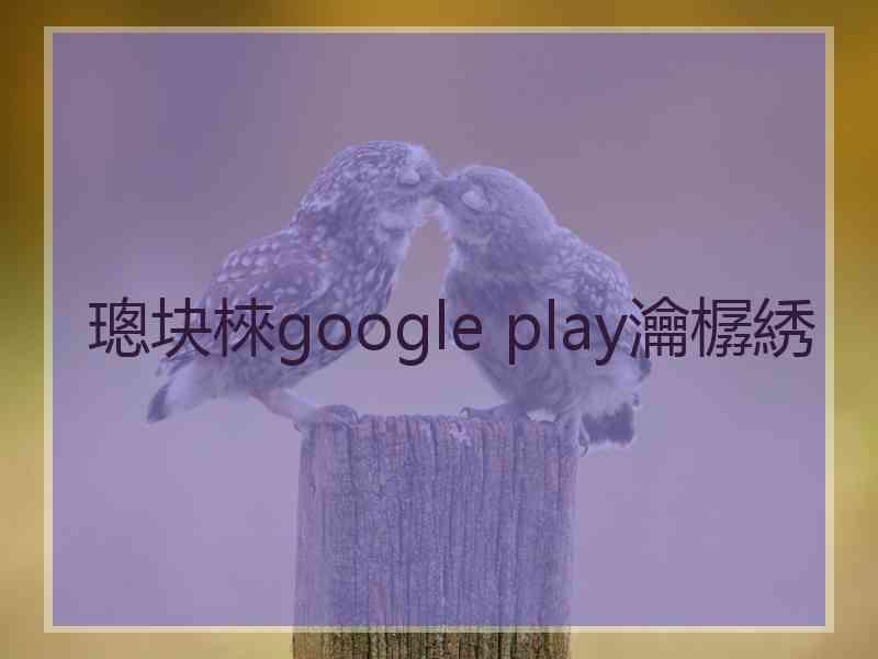 璁块棶google play瀹樼綉