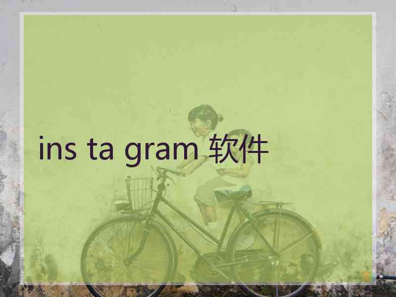 ins ta gram 软件