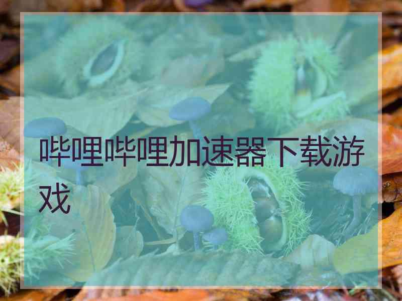 哔哩哔哩加速器下载游戏