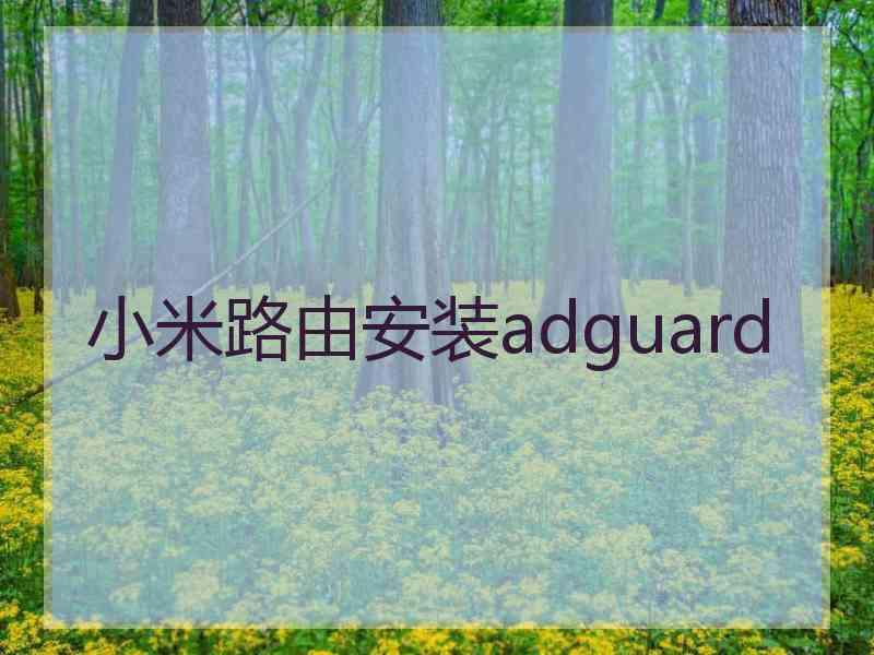 小米路由安装adguard