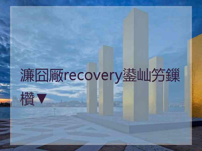 濂囧厰recovery鍙屾竻鏁欑▼