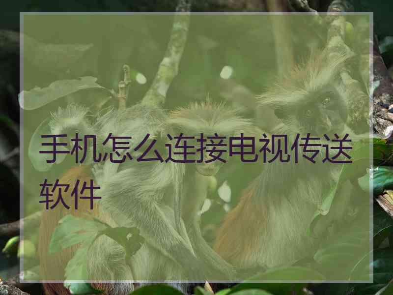 手机怎么连接电视传送软件