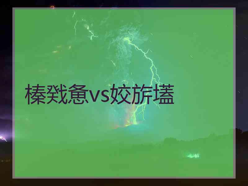 榛戣惫vs姣旂壒