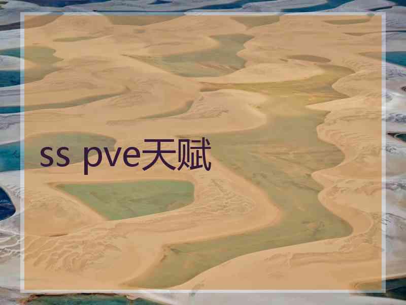 ss pve天赋