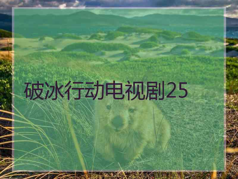 破冰行动电视剧25