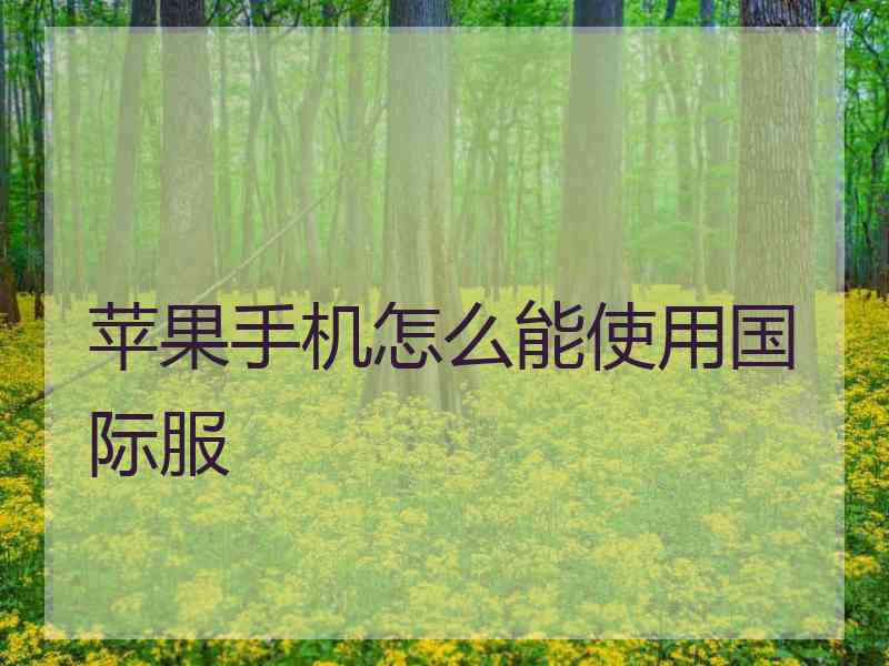 苹果手机怎么能使用国际服