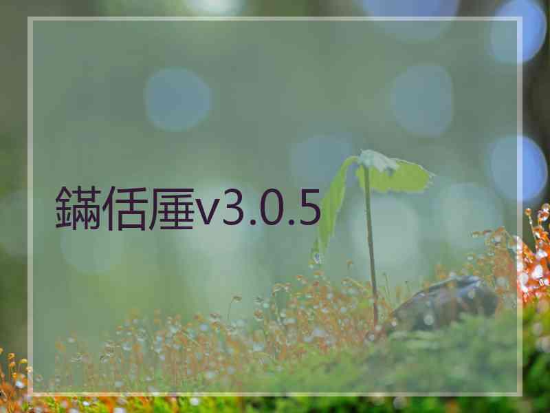 鏋佸厜v3.0.5