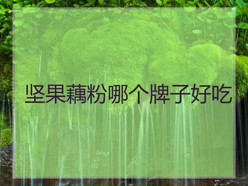 坚果藕粉哪个牌子好吃