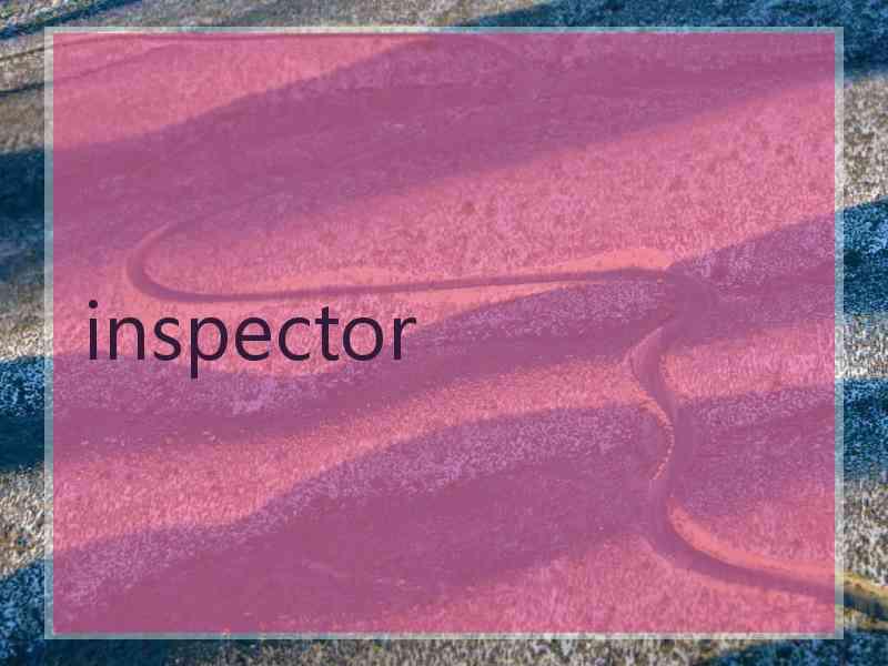 inspector