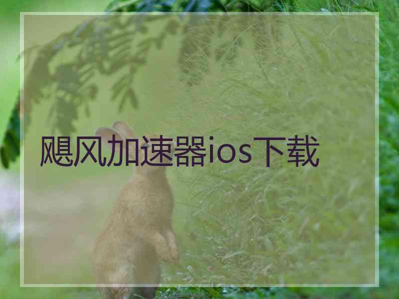 飓风加速器ios下载