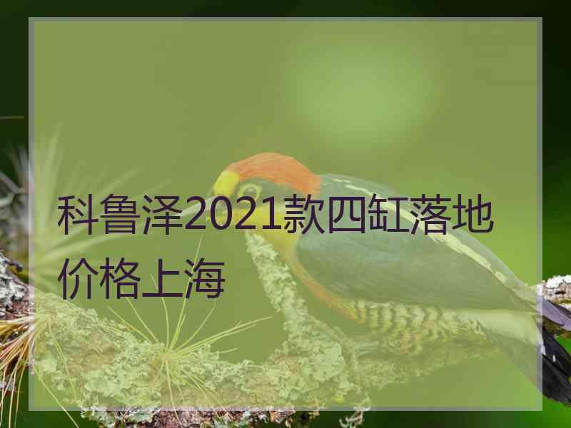 科鲁泽2021款四缸落地价格上海