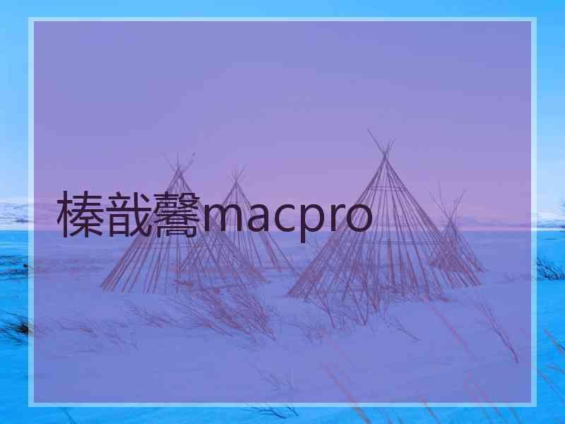 榛戠毊macpro