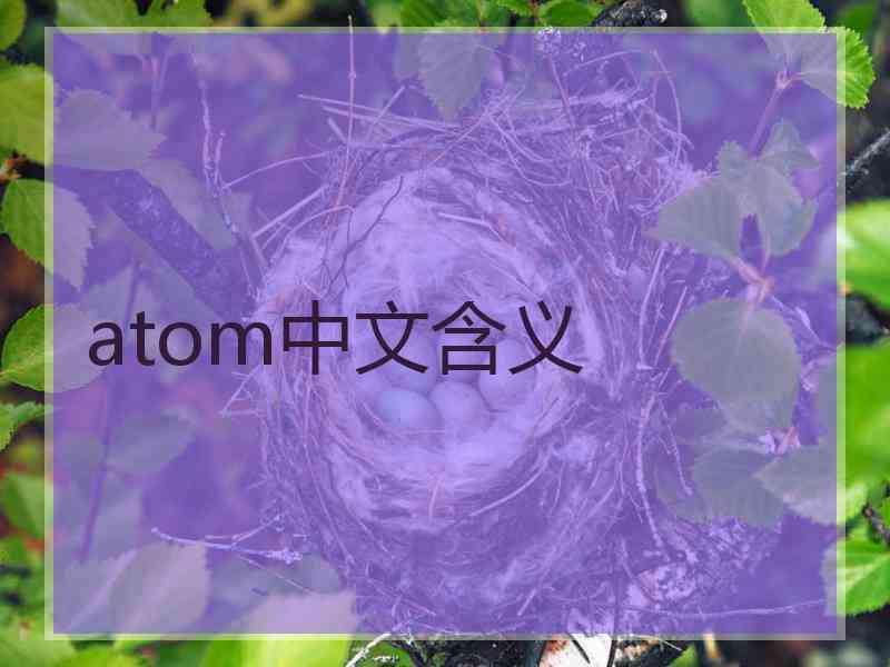 atom中文含义