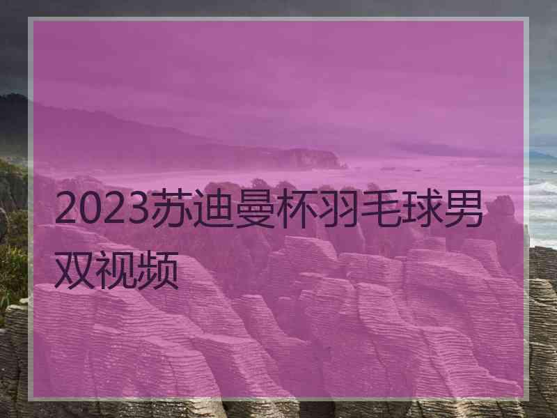 2023苏迪曼杯羽毛球男双视频