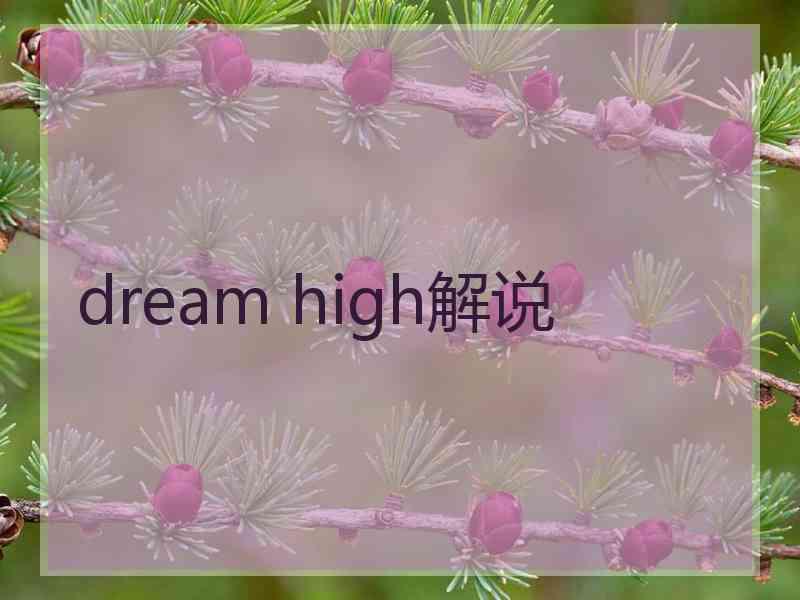 dream high解说