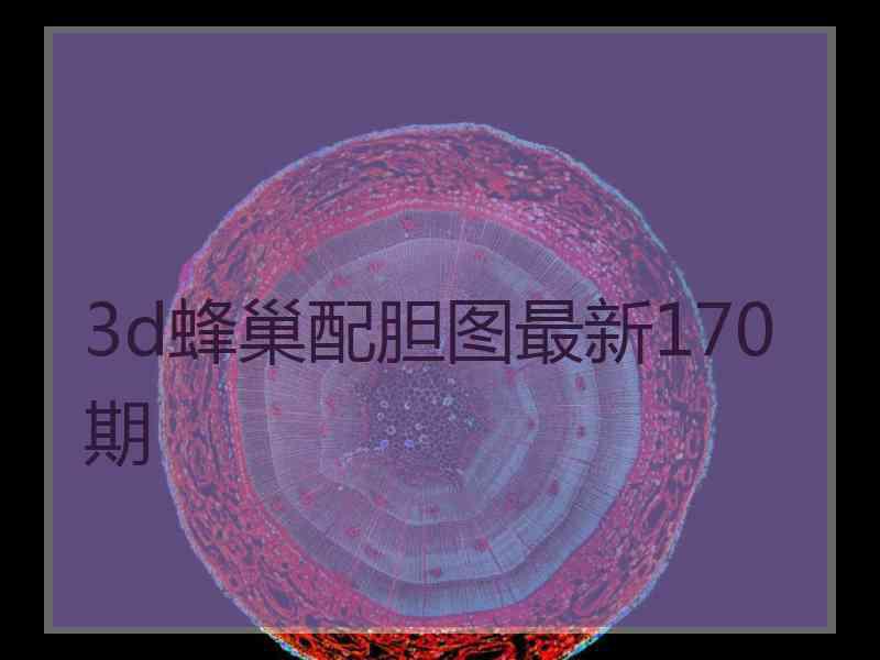 3d蜂巢配胆图最新170期