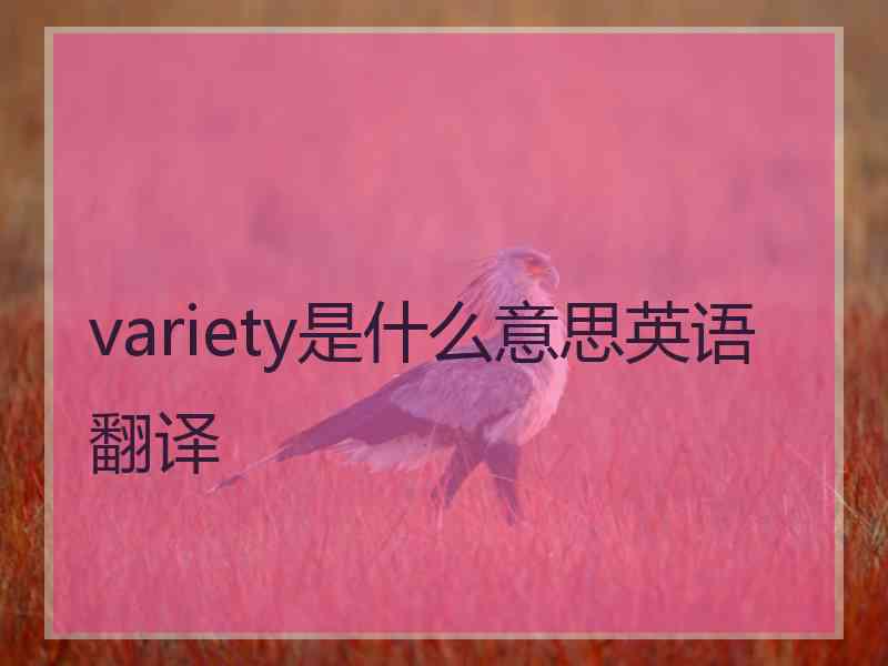 variety是什么意思英语翻译