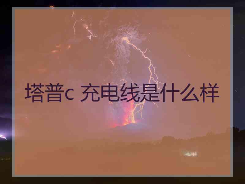 塔普c 充电线是什么样