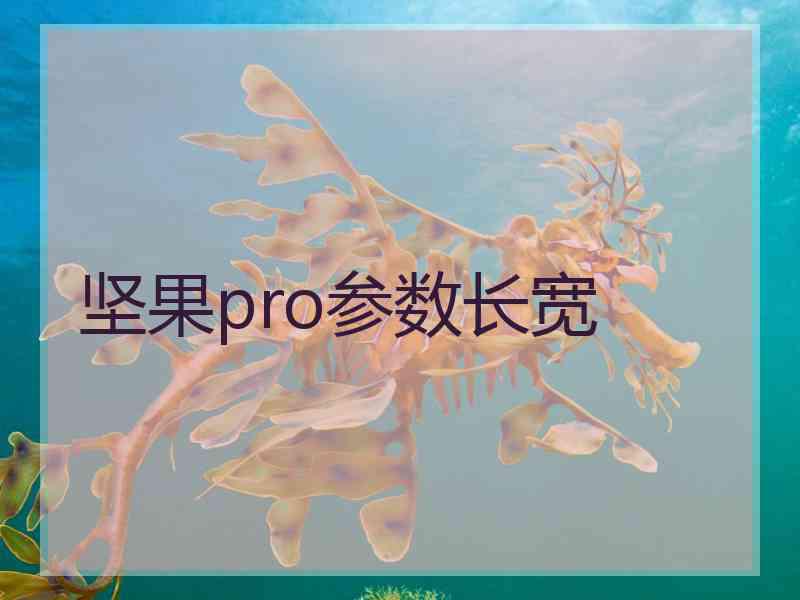 坚果pro参数长宽