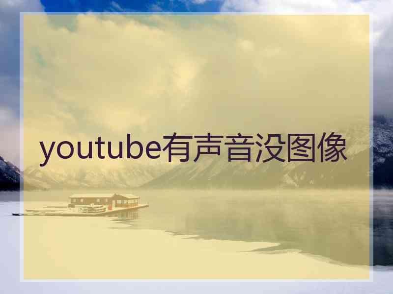 youtube有声音没图像