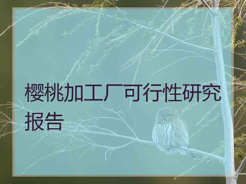 樱桃加工厂可行性研究报告