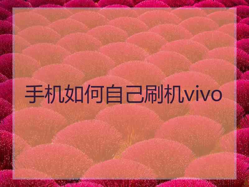 手机如何自己刷机vivo