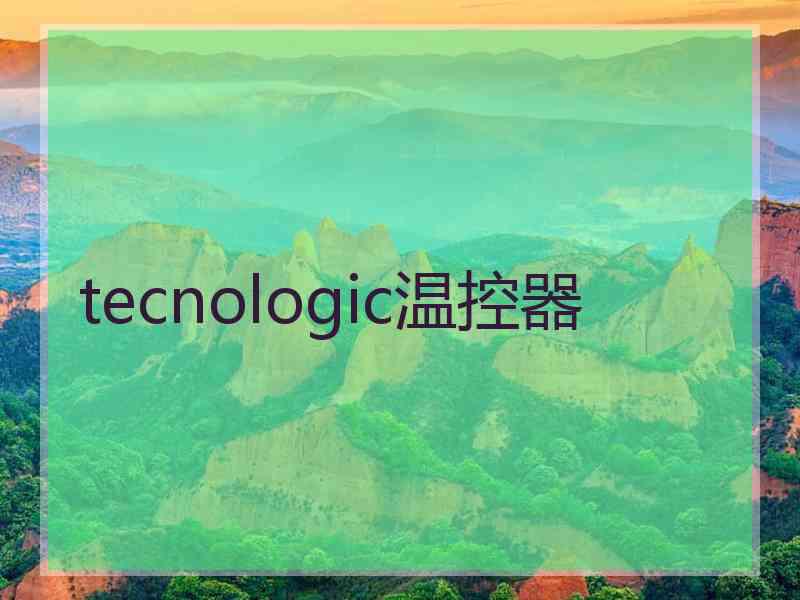 tecnologic温控器