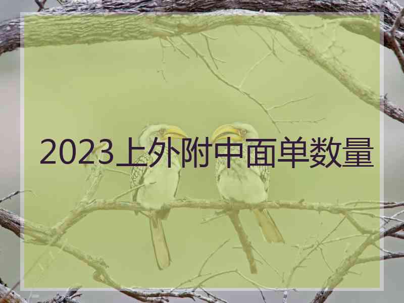 2023上外附中面单数量