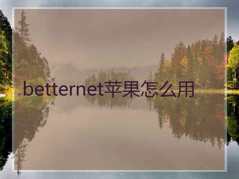 betternet苹果怎么用