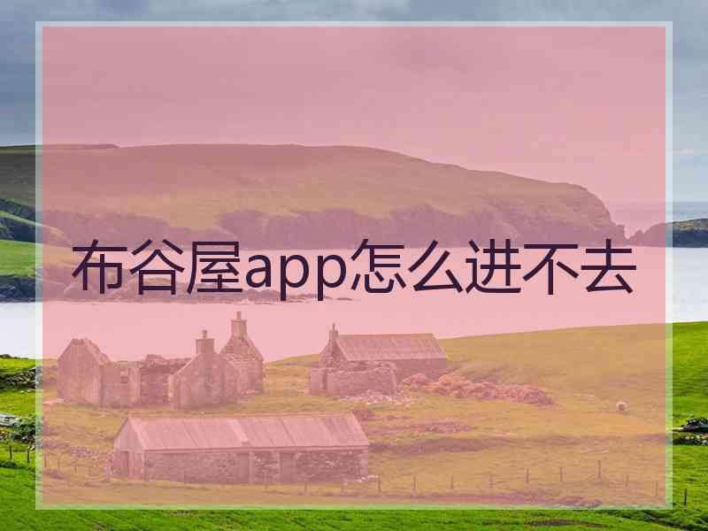 布谷屋app怎么进不去