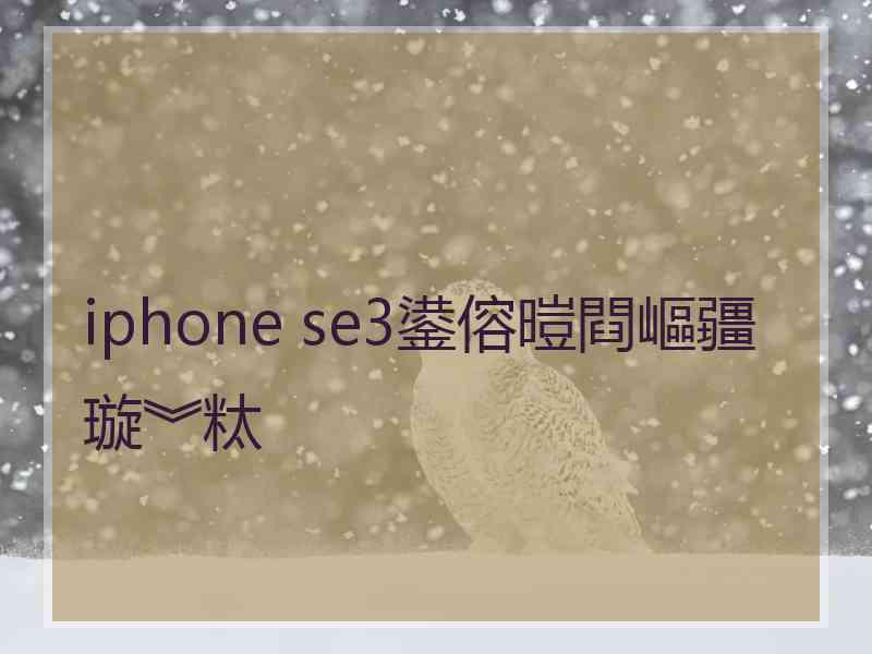 iphone se3鍙傛暟閰嶇疆璇︾粏