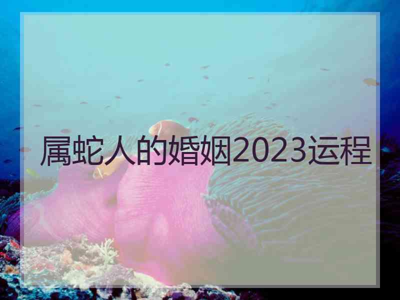 属蛇人的婚姻2023运程