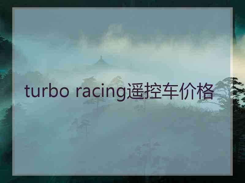 turbo racing遥控车价格