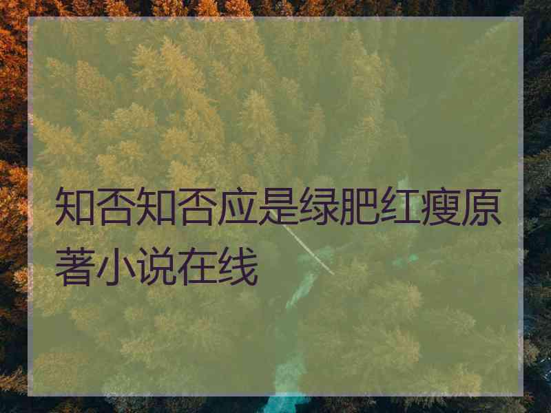 知否知否应是绿肥红瘦原著小说在线