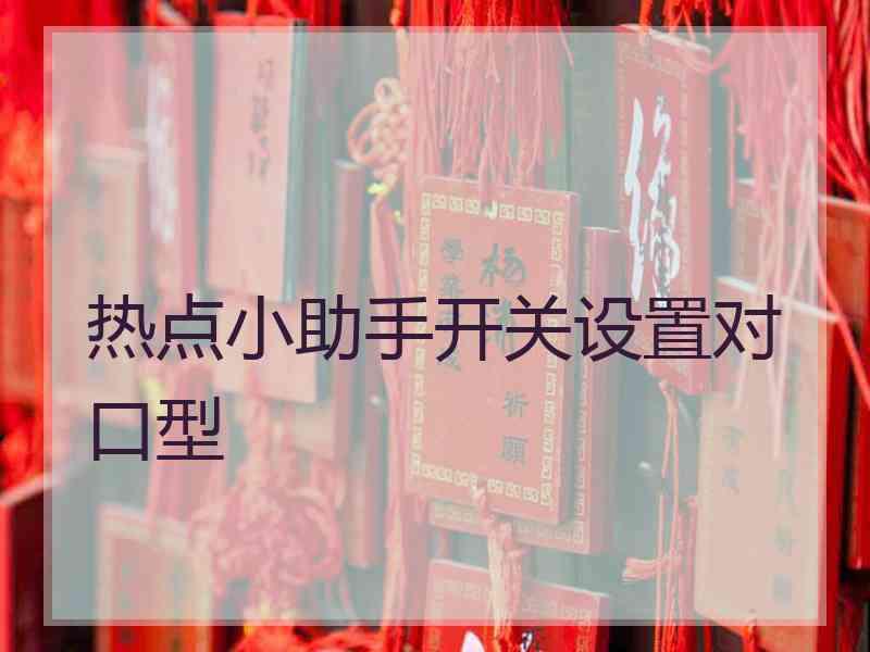 热点小助手开关设置对口型