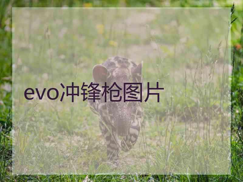 evo冲锋枪图片