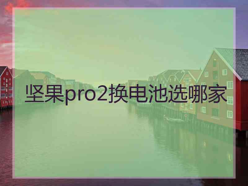 坚果pro2换电池选哪家