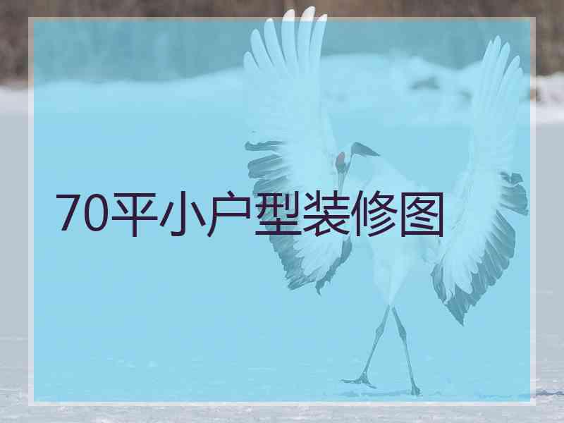 70平小户型装修图