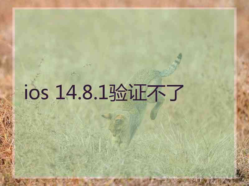 ios 14.8.1验证不了