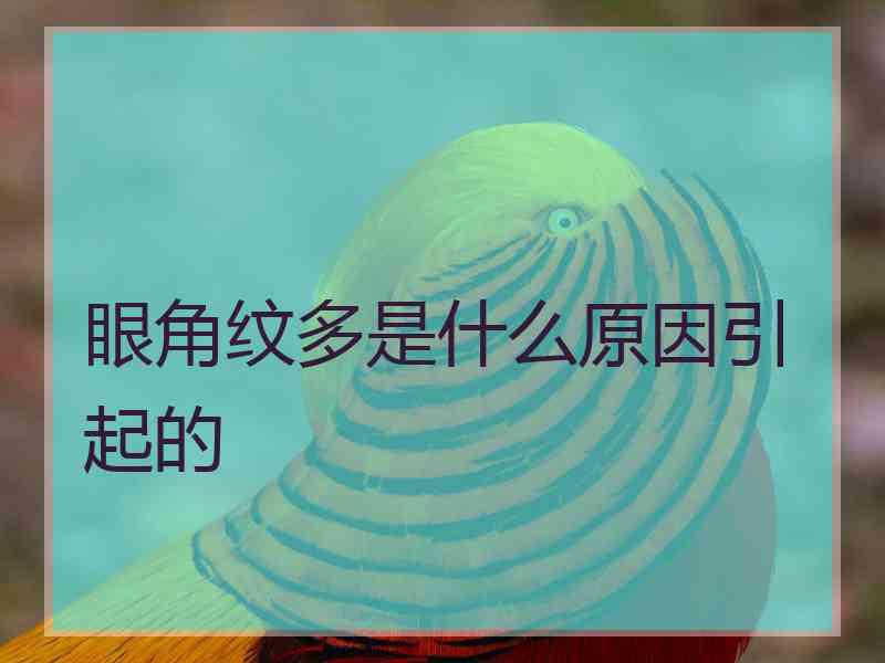 眼角纹多是什么原因引起的