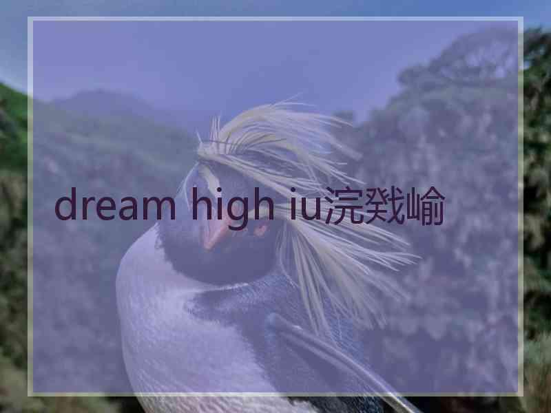 dream high iu浣戣崳