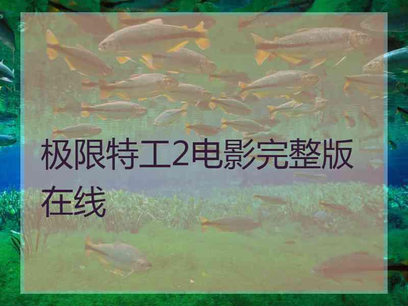 极限特工2电影完整版在线