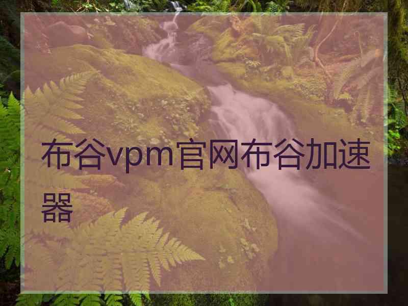 布谷vpm官网布谷加速器