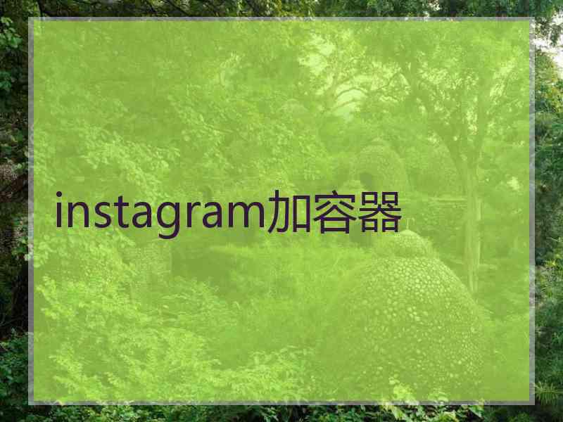 instagram加容器