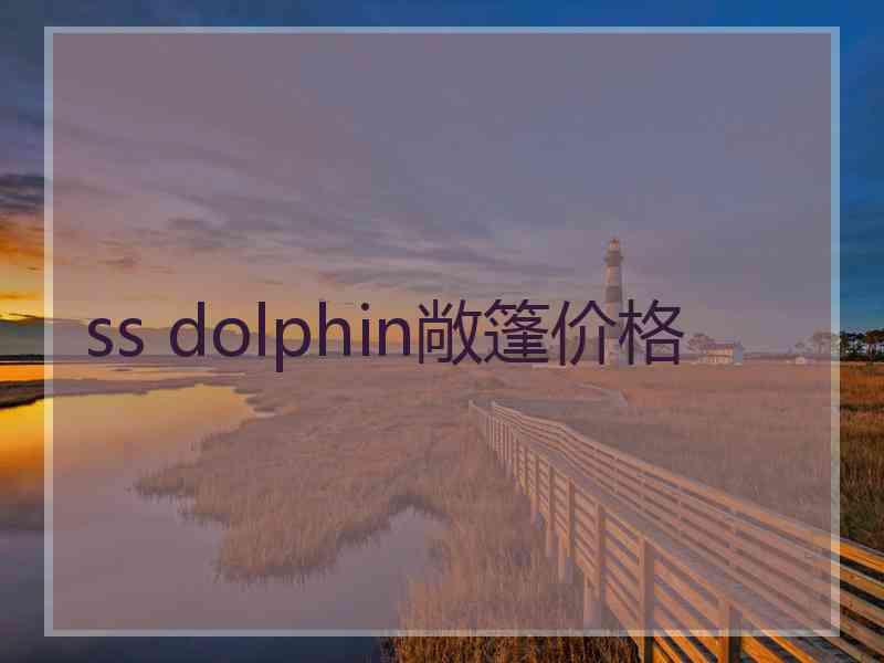 ss dolphin敞篷价格