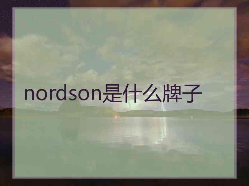 nordson是什么牌子