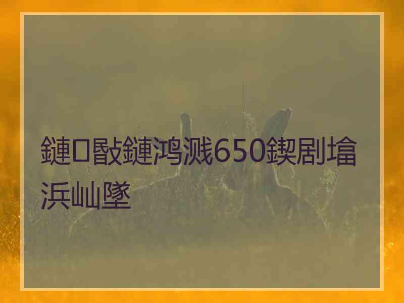 鏈敯鏈鸿溅650鍥剧墖浜屾墜